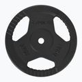 Litinový kotouč TREXO TRX-ICP015 15 kg chrom 2