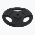Litinový kotouč TREXO TRX-ICP020 20 kg chrom