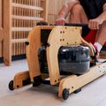 Vodní veslovací trenažér TREXO TimberFlow 13