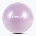 Gymnastický míč TREXO TXO-B4Z008-VT 65 cm violet