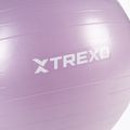 Gymnastický míč TREXO TXO-B4Z008-VT 65 cm violet 5