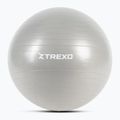 Gymnastický míč TREXO TXO-B4Z008-GY 65 cm grey 