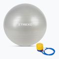 Gymnastický míč TREXO TXO-B4Z009-GY 75 cm grey  5