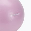 Mini gymnastický míč XTREXO TXO-B4Z011-VT 25 cm violet 3