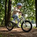 Dětské kolo ATTABO EASE 16" B stříbrné 5