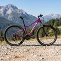 Dámské horské kolo ATTABO ALPE 3.0 17" fialové 3