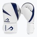 Boxerské rukavice Overlord Riven white/blue 2