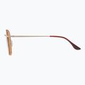 Sluneční brýle GOG Elektra matt brown demi/gold 3