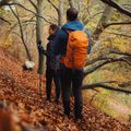 Turistický batoh Alpinus Teno 24 l orange 5