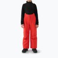 Dětské lyžařské kalhoty 4F Fnk M0949 red