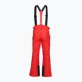 Pánské lyžařské kalhoty 4F Fnk M1155 red 2