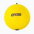 Reflexní míčky StormCloud Reflex Ball Duo yellow/black 3