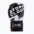 Boxerské rukavice StormCloud Bolt 3.0 black/white 4