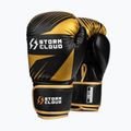 Boxerské rukavice StormCloud Lynx 2.0 black/gold 2