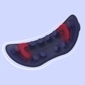 Masážní přístroj Media-Tech Matrix Eye navy blue 7