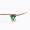 Klasický skateboard Mechanics Professional SPIDER 31 červený Pro-SP31 6