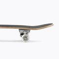 Klasický tréninkový skateboard 31 Mechanics TR31 6