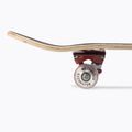 Klasický skateboard Mechanics Professional SPIDER 31 modrý Pro-SP31 5