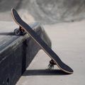 Klasický skateboard Mechanics Professional SPIDER 31 modrý Pro-SP31 9