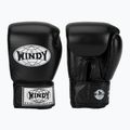 Boxerské rukavice WINDY Classic Genuine Leather black