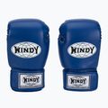 Boxerské rukavice WINDY Classic Synthetic Leather blue 2