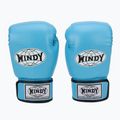 Boxerské rukavice WINDY Classic Synthetic Leather sky blue 2