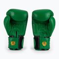 Boxerské rukavice RAJA BOXING Single Standard Genuine Leather green 3