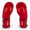 Boxerské rukavice RAJA BOXING Single Standard Genuine Leather red 4