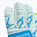Dětské brankářské rukavice 4keepers Force V1.25 FURY HNC Jr blue 3