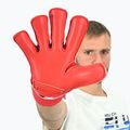 Dětské brankářské rukavice 4keepers Force V4.25 RF2G red 10