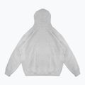 Pánská mikina PROSTO Biolog Hoodie grey 2