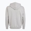 Pánská mikina PROSTO Hoodie Logo Zip gray 2