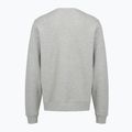 Pánská mikina PROSTO Old Logo Crewneck gray 2