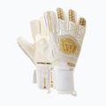 Football Masters Voltage Plus NC v 4.0 white-gold 1171-4 4