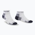 Pánské ponožky Bridgedale Hike Lightweight Performance Ankle silver/navy