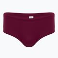 Pánské plavky FINIS Aqua Short Solid cabernet