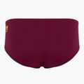 Pánské plavky FINIS Aqua Short Solid cabernet 2