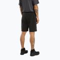 Arc'teryx pánské trekingové šortky Gamma Lightweight 9" černé X000006955044 3