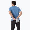 Pánské tričko Arcteryx Arc'Word Logo Stone wash 2