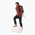 Pánská péřová bunda Arc'teryx Cerium Hoody sequoia/solaris 2