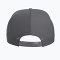 Kšiltovka Arcteryx Bird Word Trucker black /cloud 3