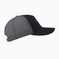 Kšiltovka Arcteryx Bird Word Trucker black /cloud 4