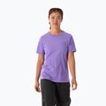 Dámské tričko Arc'teryx Kragg Sl Cotton Emblem Crew aster