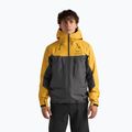 Pánská softshellová bunda Arcteryx Alpha larch/dk grey