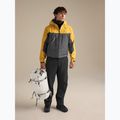 Pánská softshellová bunda Arcteryx Alpha larch/dk grey 2