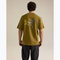 Pánské tričko na lezení Arcteryx Kragg Cotton Logo SS bracken 3