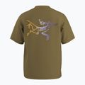 Pánské tričko na lezení Arcteryx Kragg Cotton Logo SS bracken 9