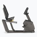 Rotoped Matrix Fitness Recumbent Bike R50XIR-02 graphite grey