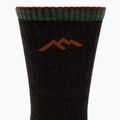 Pánské ponožky Darn Tough Hiker Micro Crew walnut 3