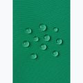 Dětské lyžařské kalhoty Reima Proxima green 6